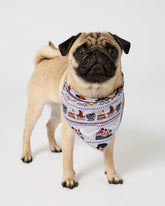 Harry Potter™ Spellbinding Studies Pet Bandana